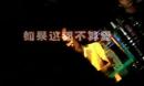 微信头像杂图求爱文字