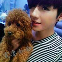 什么都可以典当么|那我就典当