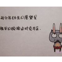我爱这只懒猫文字头像