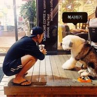 年微信头像男生带宠物