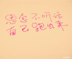 你永远看不透我文字头像