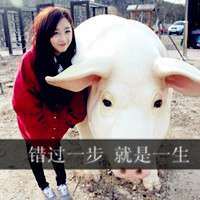 情感文字女生微信头像