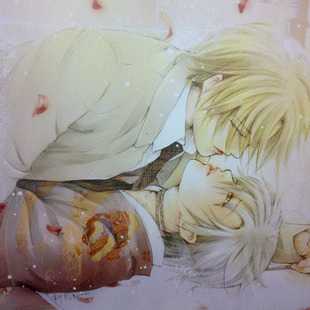 都是才貌双全的大帅哥