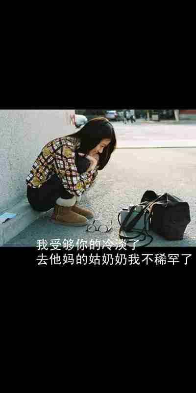 宝宝与斗牛犬头像