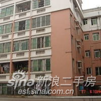 环型水道鱼池|儿童游