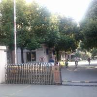 区房成就小孩的忠贞