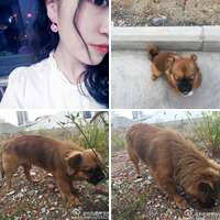 合肥·瀚海星座