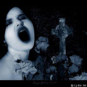 我的孤独像条狗