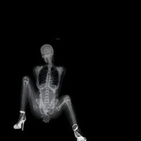 爷我的重口我做主