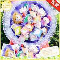 星座麦兜公仔花束创意