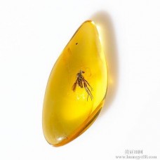 com先发高清图片到邮箱初步审核