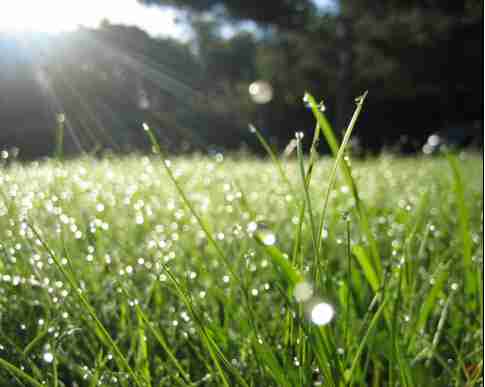 优美梦幻景物个