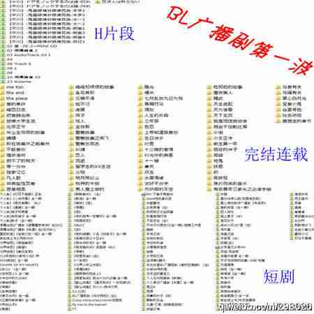 跪求各种bl同人游戏和中文广播剧