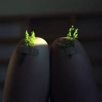 重口味微信欧美头像过程