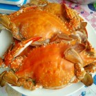 即可当主食又可当零食|熊孩子