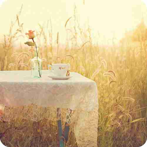 清新干净风景唯美个性头像