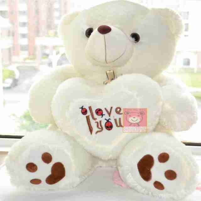 泰迪熊布娃娃唯美fl