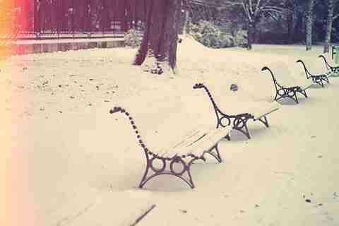 小清新+森系+唯美意境~*女生*