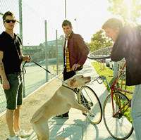 兄弟情谊很欢乐的个性头像