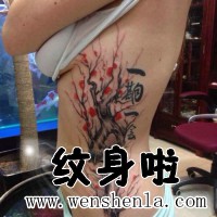 侧腰纹身图案|女生侧腰纹身图片