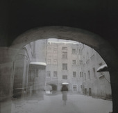 黑白混头thog·拉屎兄欧美黑白男女混头