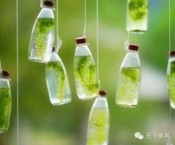 黑白头像吧丶「头像」暮然回首