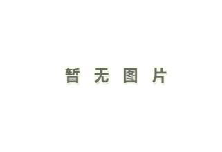 草帽纱巾沙滩裤性感内衣人字拖