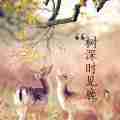 小清新图片带字头像