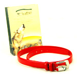 成功人士创造意境的皮具