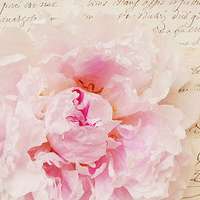 很有气质的男生个性头像