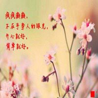 花带字图片大全