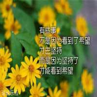 花带字图片大全