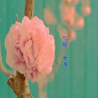 花带字图片大全