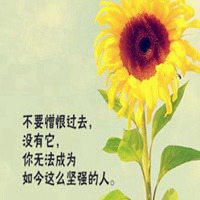 花带字图片大全