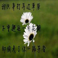 花带字图片大全