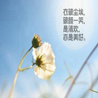 带字鲜艳花微信头像