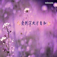 带字鲜艳花微信头像