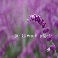 带字鲜艳花微信头像