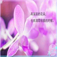 带字鲜艳花微信头像