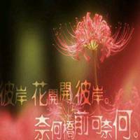 古风彼岸花唯美图片