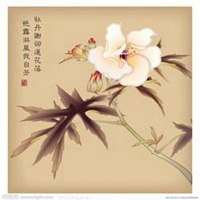 吉祥的牡丹花微信头像