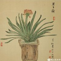 微信头像百度图片花草君子兰