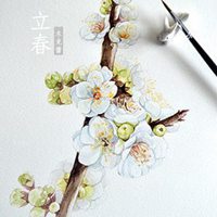 微信头像花朵梅花