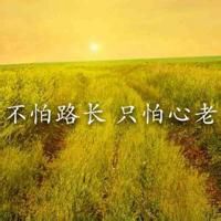 微信头像风景或花草文字