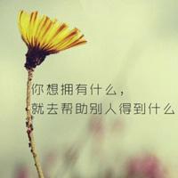 微信带字的花头像