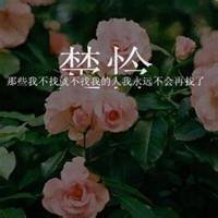 微信带字的花头像