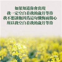 微信带字的花头像