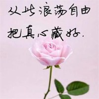 微信带字的花头像