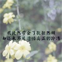 微信带字的花头像