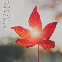 微信带字的花头像